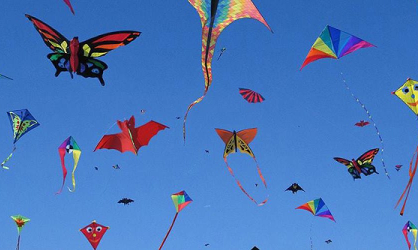 09campanie pediatrie